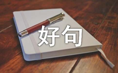 2024 年人生感悟：探寻生命的真谛