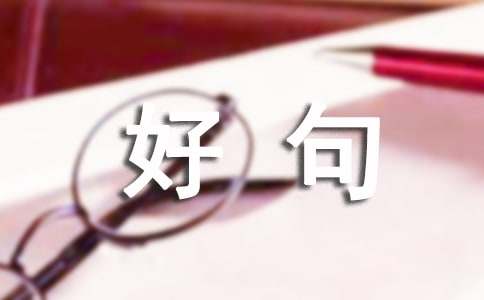 人生感悟：探寻生命的真谛与智慧