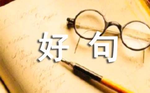 人生感悟：探寻生命的真谛与智慧