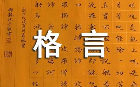 2024年人生感悟格言深度解析