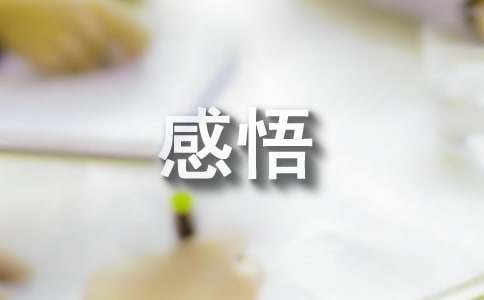 2024年经典人生感悟语句深度解析