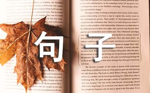人生的智慧与感悟
