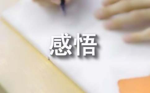 人生感悟：探寻生命的真谛