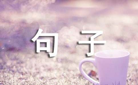 2024年人生感悟的深度剖析