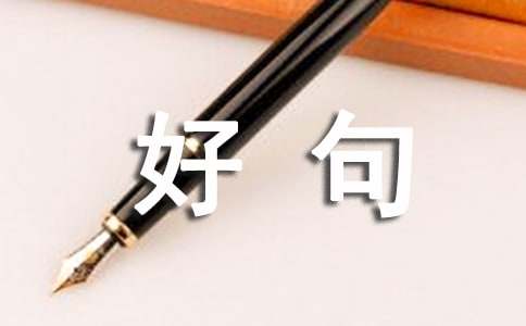 人生感悟：探寻内心的智慧与宁静