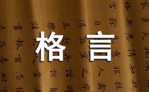 2024年简单的人生感悟格言深度解析