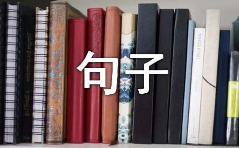 人生感悟：探寻内心的真谛