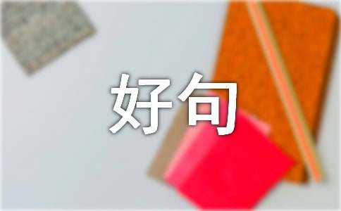 人生感悟：探寻内心的智慧与成长