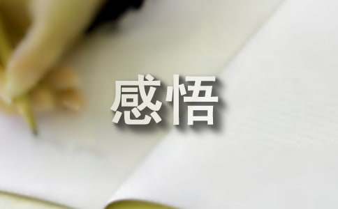 2025 年感悟人生：在困境中寻找希望与快乐