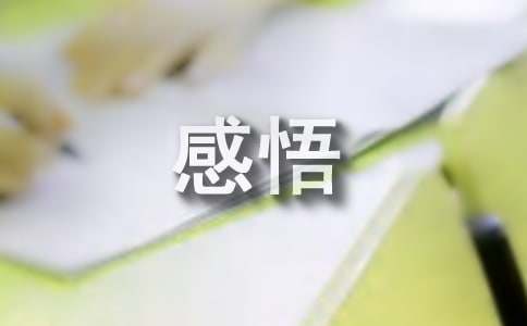 人生感悟：探寻生命的真谛