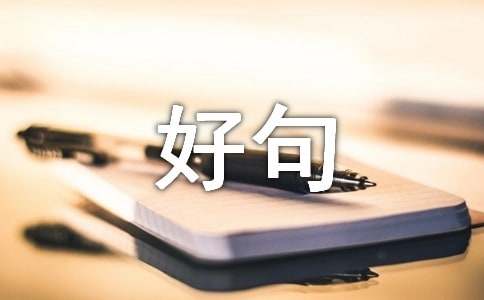 人生感悟：探寻内心的智慧与成长