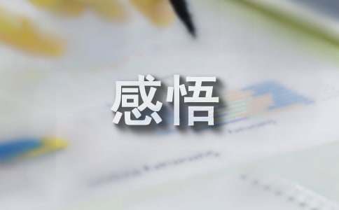 人生感悟：探寻生命的真谛与智慧