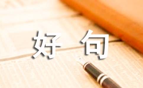 2025年人生感悟：探寻内心的智慧与力量