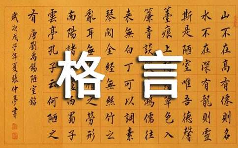人生感悟格言的深度剖析